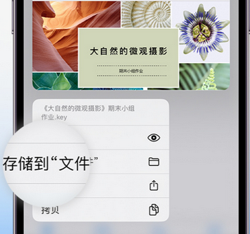 寿光apple维修中心分享iPhone文件应用中存储和找到下载文件