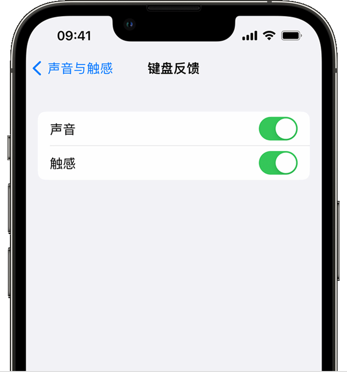 寿光苹果14维修店分享如何在 iPhone 14 机型中使用触感键盘 