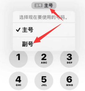 寿光苹果14维修店分享iPhone 14 Pro Max使用副卡打电话的方法 