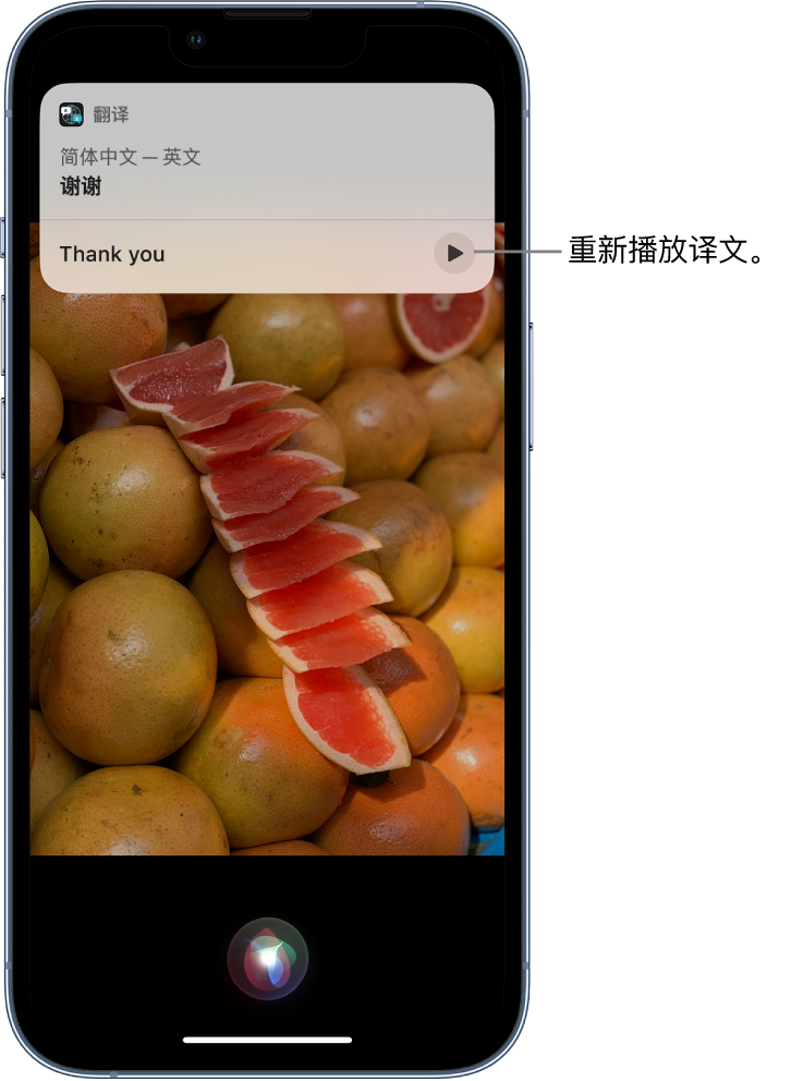 寿光苹果14维修分享 iPhone 14 机型中使用 Siri：了解 Siri 能帮你做什么 