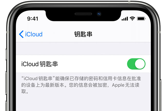 寿光苹果手机维修分享在 iPhone 上开启 iCloud 钥匙串之后会储存哪些信息 