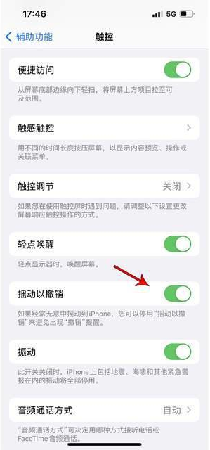 寿光苹果手机维修分享iPhone手机如何设置摇一摇删除文字 