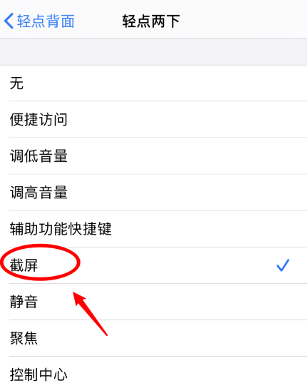 寿光苹果手机维修分享iPhone12如何启用双击截屏 